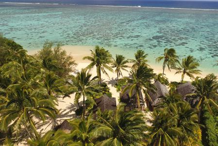 Palm Grove - Aerial View